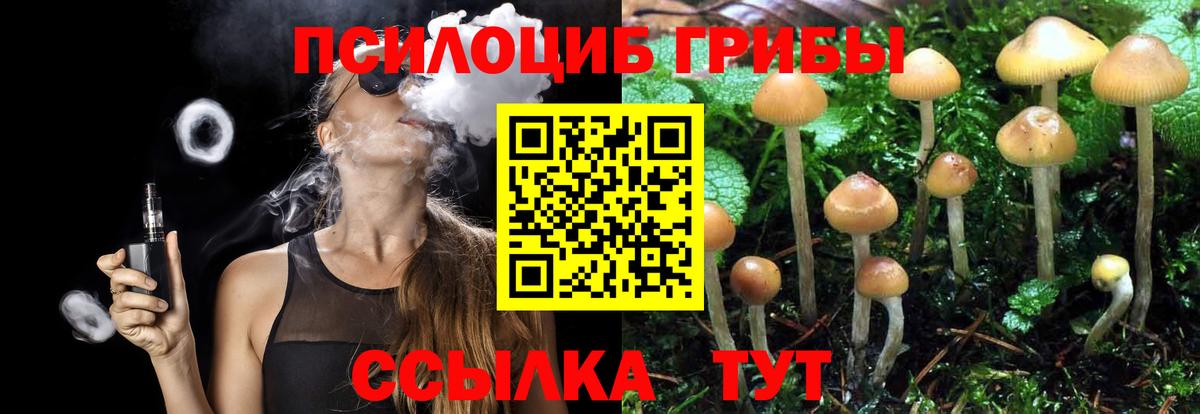 Галлюциногенные грибы MAGIC MUSHROOMS Кизляр