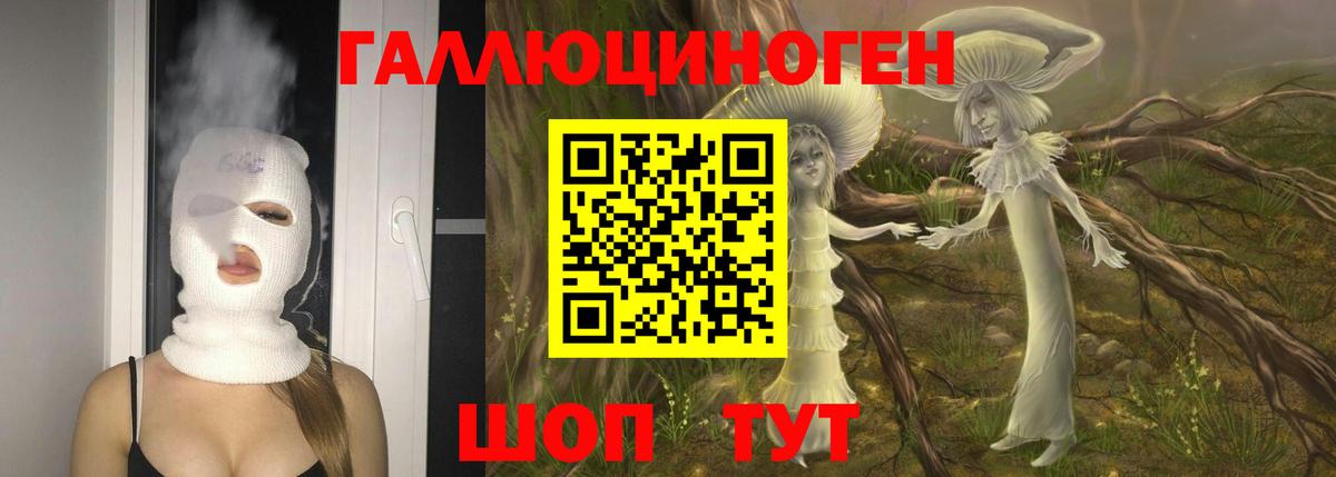Кизляр  Псилоцибиновые грибы Magic Shrooms  Вход с VPN  Галлюциногенные грибы Cubensis 